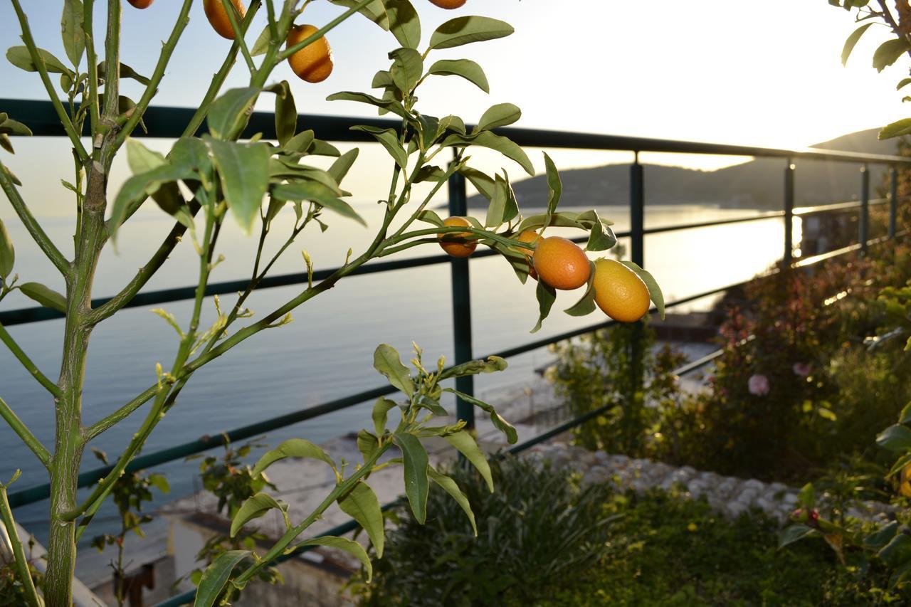 Panorma